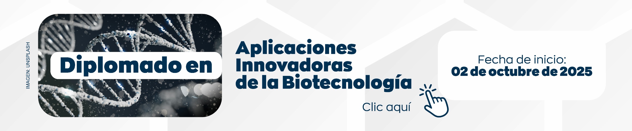 Diplomado en Aplicaciones Innovadoras de la Biotecnología 