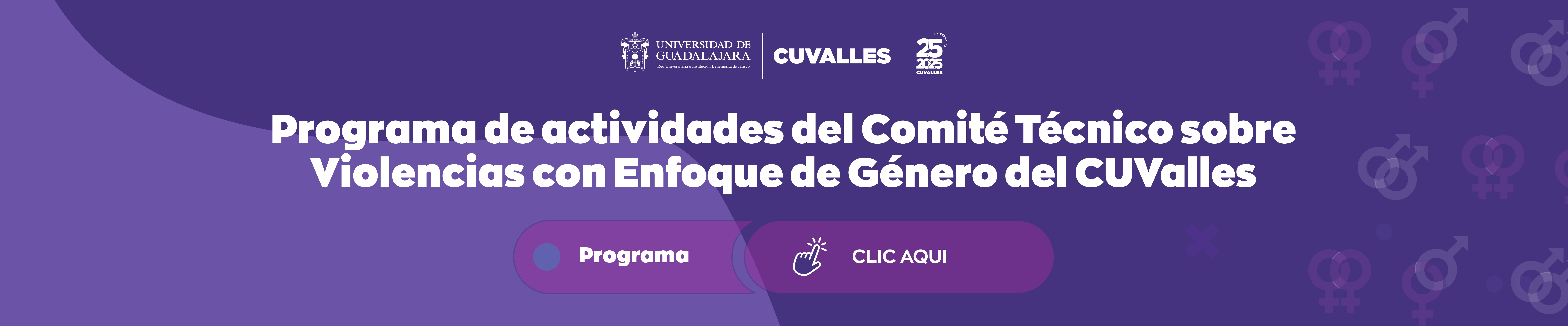 Comité Técnico Sobre Violencias con Enfoque de Género - Actividades 2025 B