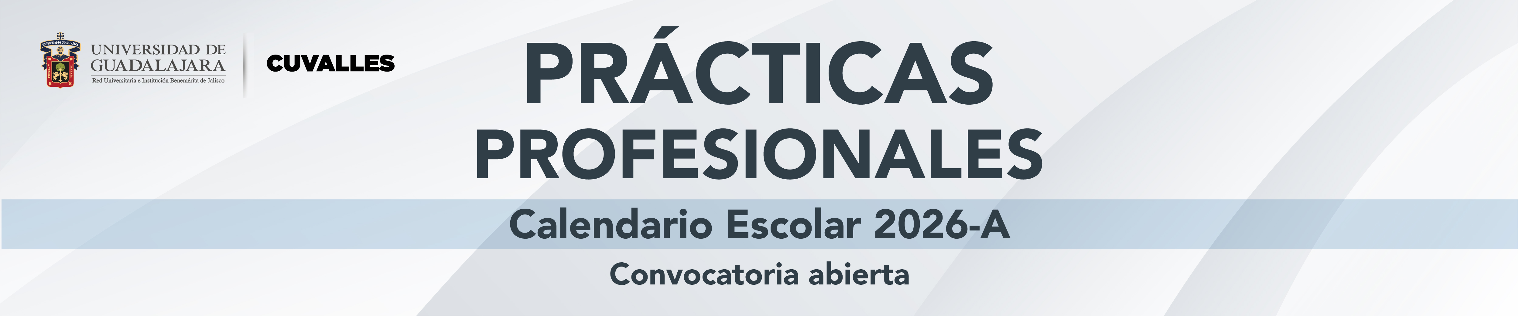 Prácticas Profesionales 2026 A 