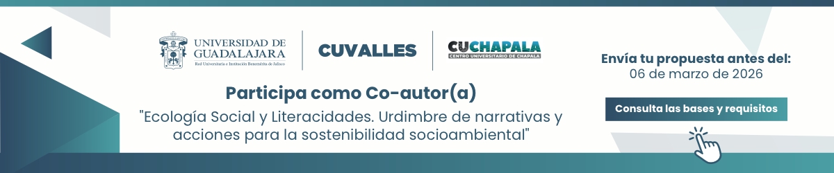 CONVOCATORIA CO-AUTORES