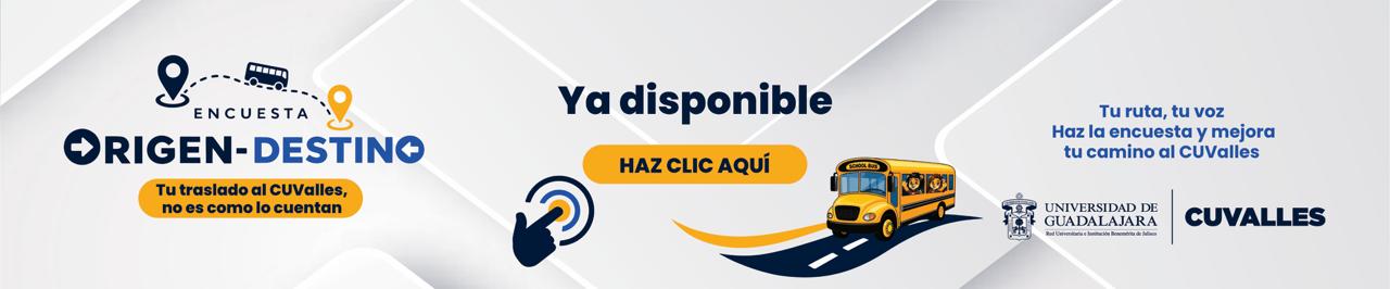 encuesta origen destino 