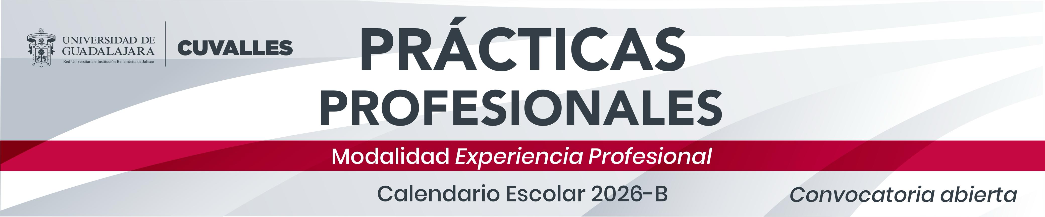 practicas experiencia profesional 2026
