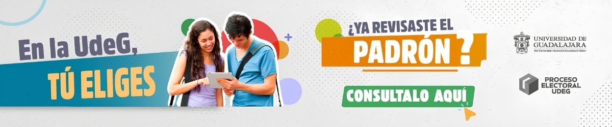 CONSULTA PADRON