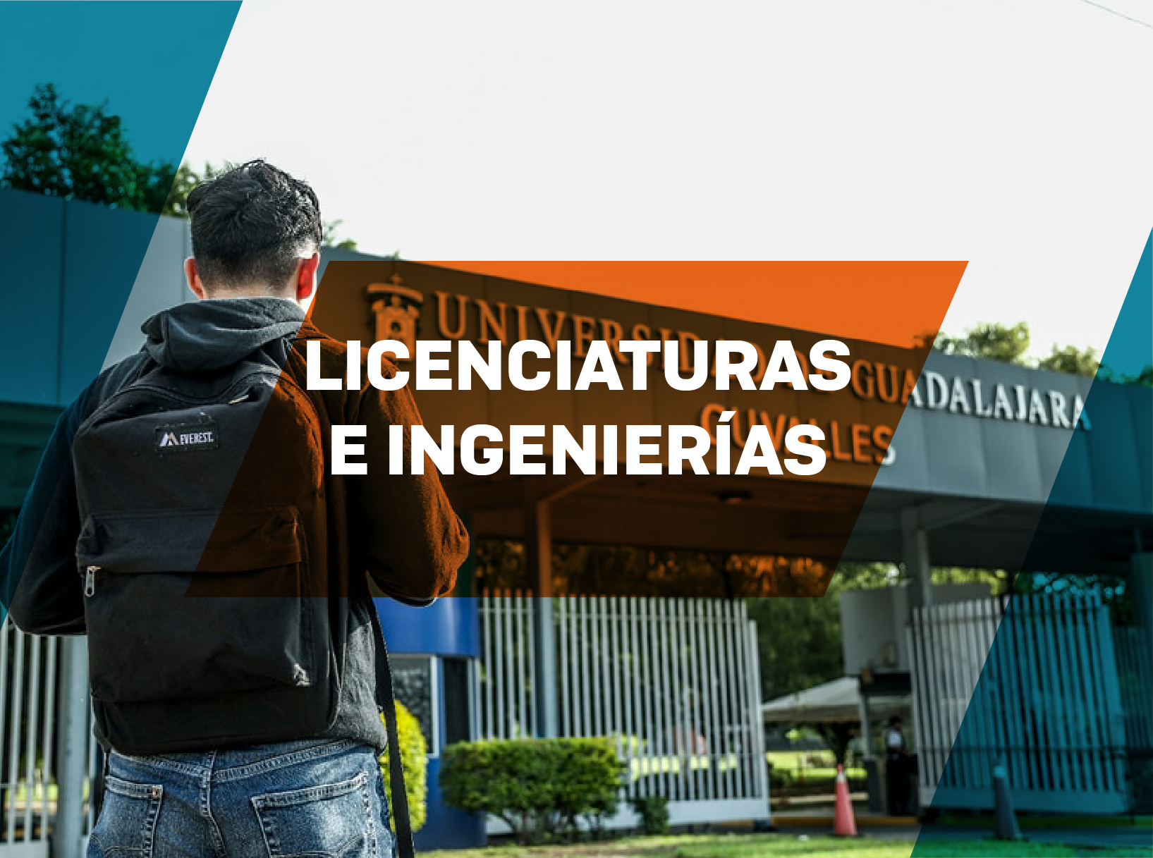 licenciaturas