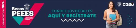 becas_pees