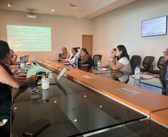 Capacitación Coordinadores