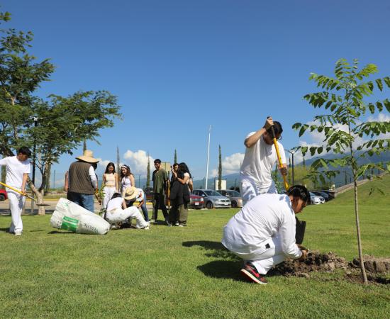 Reforestación día de la memoria orgánica del CUValles