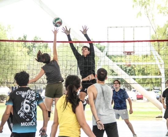 actividades deportivas