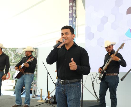 Música “Efecto Valles”